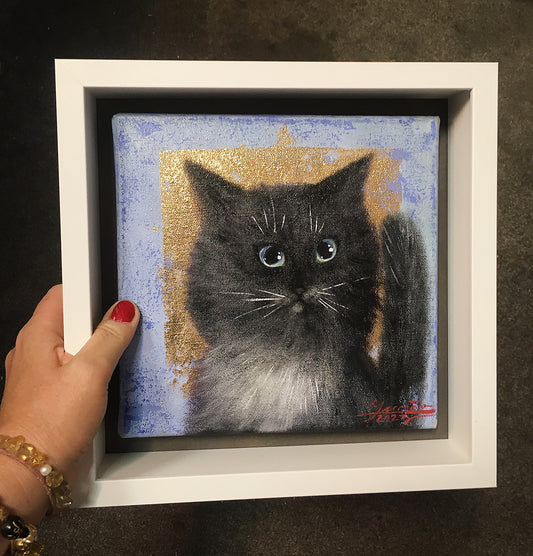 Cat looking for home FRAMED  / 21x21cm