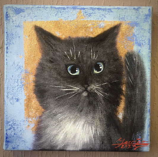 Cat looking for home  / 21x21cm